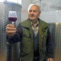 Životna priča vinara Drage Perića: Od kooperanta do samostalnog proizvođača 
