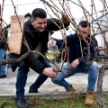 Iako nemaju vinarije, imaju srce za lozu: Podgorci dostojno proslavili blagdan sv. Vinka 