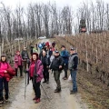 Koracima kroz vinograde i povijest Požeške gore: Zimski vincelovski pohod u Pleternici