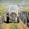Vinogradari započeli zaštitu: Pravovremena reakcija ključ uspjeha sezone