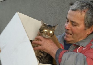 Vatrogasci s drveta u Babinom viru spašavali mačku (foto)