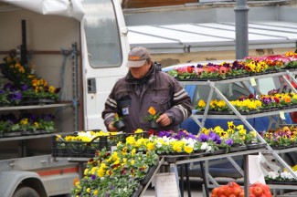 Šetnja gradom: Požega, 9.3.2015.