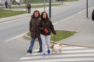 Šetnja Pleternicom i Kutjevom, 11.3.2015.