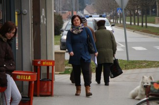 Šetnja Pleternicom i Kutjevom, 11.3.2015.