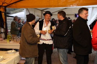 Grgurevo u požeškim vinogradima