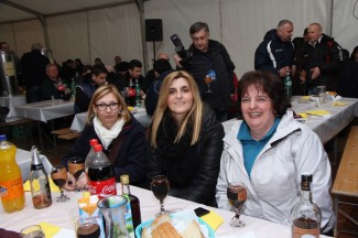 Grgurevo u požeškim vinogradima