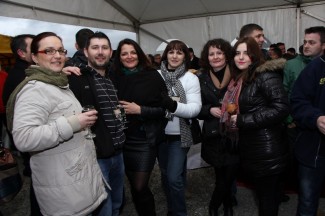 Grgurevo u požeškim vinogradima