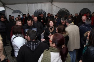 Grgurevo u požeškim vinogradima