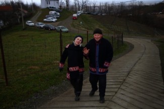 Grgurevo u požeškim vinogradima