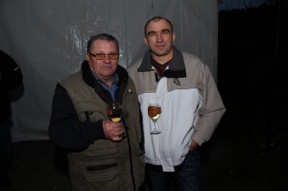 Grgurevo u požeškim vinogradima