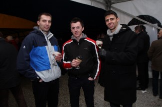 Grgurevo u požeškim vinogradima