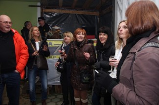 Grgurevo u požeškim vinogradima