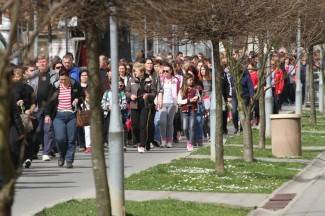 Križni put u Pleternici