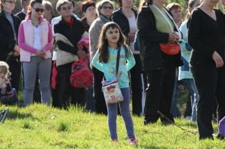 Križni put u Pleternici