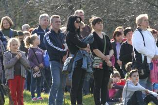 Križni put u Pleternici