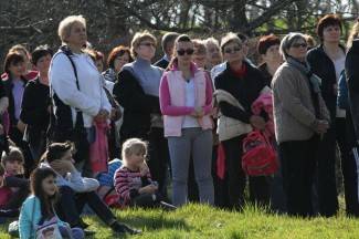 Križni put u Pleternici