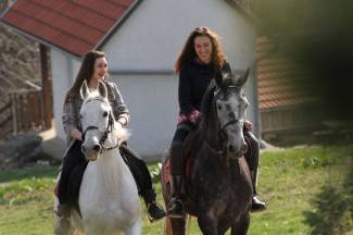 Križni put u Pleternici