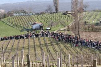 Križni put u Pleternici