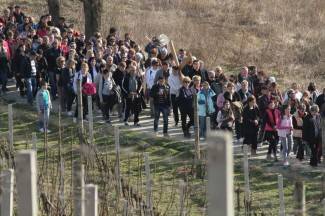 Križni put u Pleternici