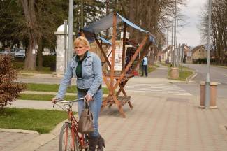 Subotnja šetnja Požegom i Pleternicom, 4.4.2015.