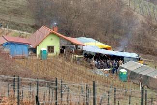 Požežani s gostima u vinogradima slave Grgurevo 