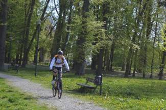 Šetnja gradom: Požega, 21.4.2015.