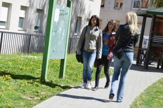 Šetnja gradom: Požega, 21.4.2015.