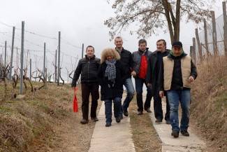 Požežani s gostima u vinogradima slave Grgurevo 