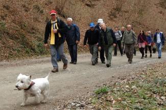 Velika: Papučki jaglaci 2012. - okupljanje
