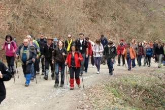 Velika: Papučki jaglaci 2012. - okupljanje