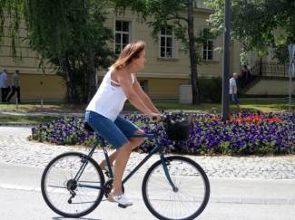 Subotnja šetnja gradom: Požega, 1.8.2015.