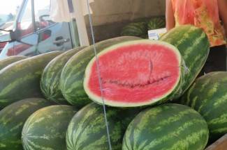 Šetnja Pleternicom i Kutjevom, 12.8.2015.