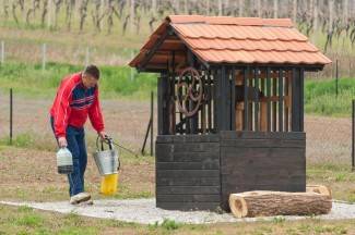 Subotnja šetnja Požegom, Kutjevom i Pleternicom