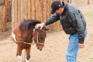 Subotnja šetnja Požegom, Kutjevom i Pleternicom