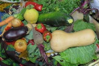 Velika: Izbor najuzornije hrvatske seoske žene