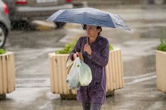 Subotnja šetnja Požegom i Pleternicom