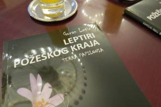 Prijem za roditelje i bebe u Gradu Požegi, 3.11.2015.