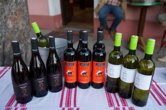 Kutjevačko Martinje 2015. - prvi dan