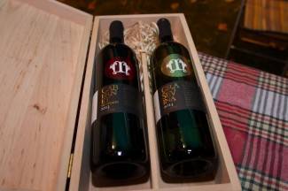 Kutjevačko Martinje 2015. - prvi dan