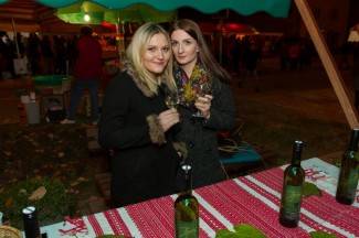 Kutjevačko Martinje 2015. - prvi dan