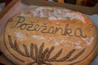 Kutjevačko Martinje 2015. - prvi dan