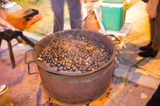 Kutjevačko Martinje 2015. - prvi dan