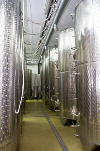 Pleternica: Krštenje mošta u Vinariji Markota