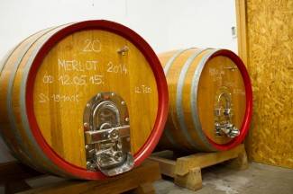 Pleternica: Krštenje mošta u Vinariji Markota