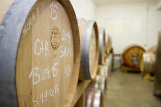 Pleternica: Krštenje mošta u Vinariji Markota