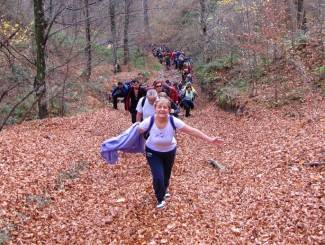 Brezovo polje: Uspon na najviši vrh u Slavoniji