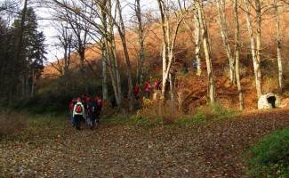 Brezovo polje: Uspon na najviši vrh u Slavoniji