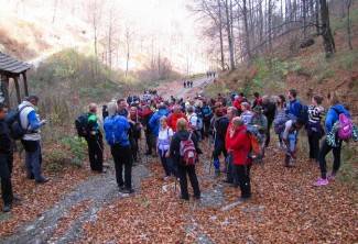 Brezovo polje: Uspon na najviši vrh u Slavoniji