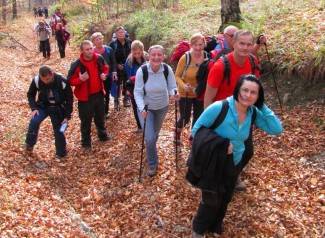 Brezovo polje: Uspon na najviši vrh u Slavoniji