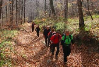 Brezovo polje: Uspon na najviši vrh u Slavoniji